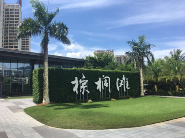 棕榈滩